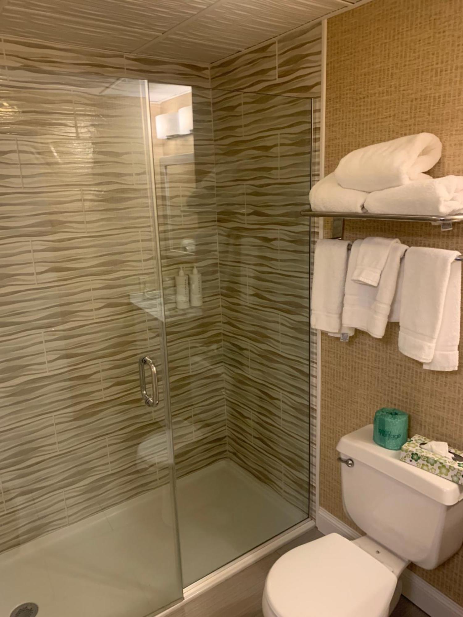 Deluxe King Room,1602329616:JPEG
